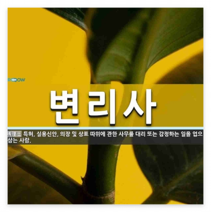 변리사되는법,준비과정부터합격전략까지