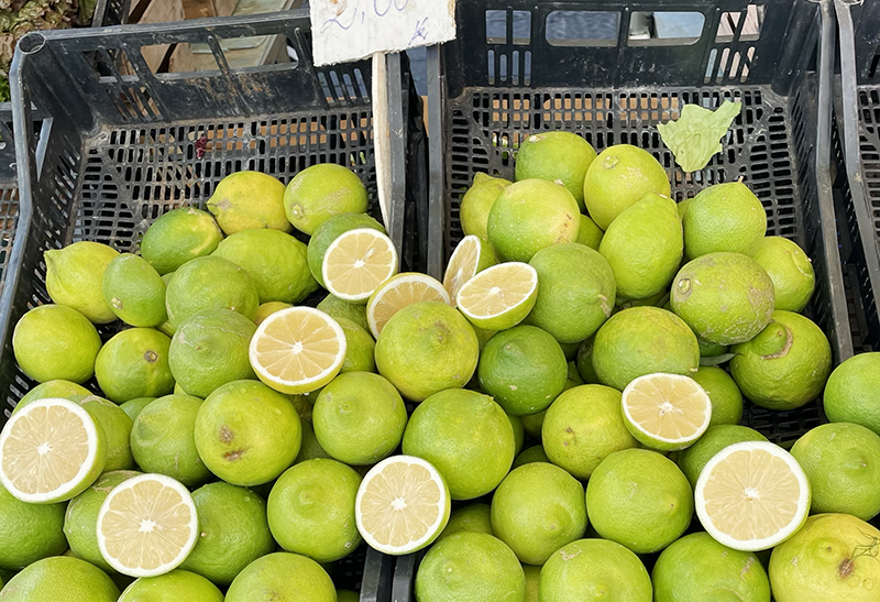 감정 상태에 따라 선택된 라임 오일 향기 블렌딩