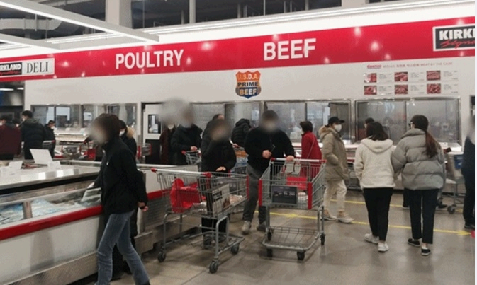 코스트코 회원권