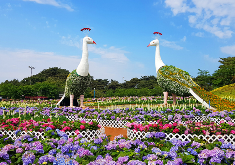 코리아플라워파크