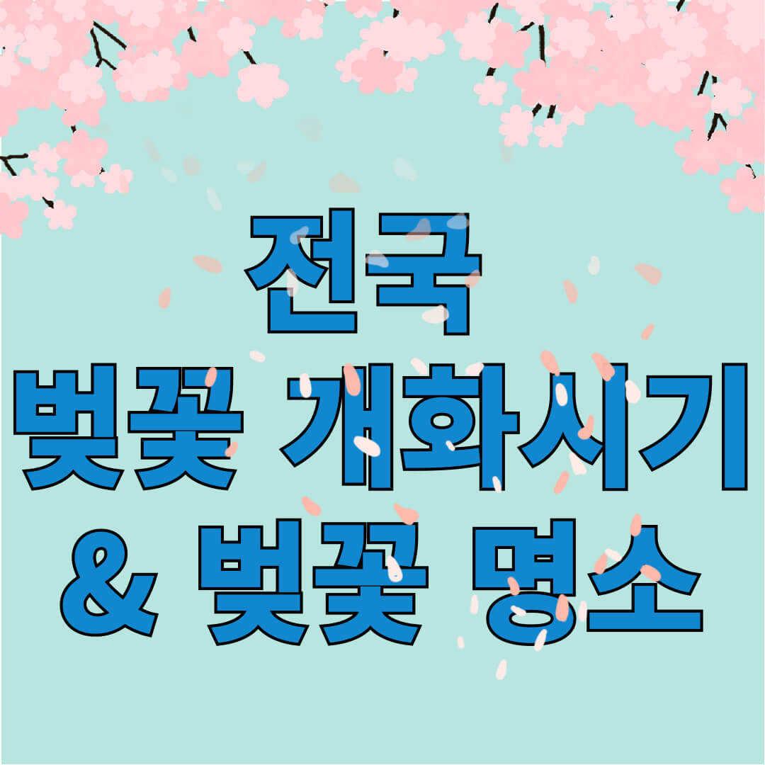 2025년 벚꽃 개화시기, 벚꽃 명소