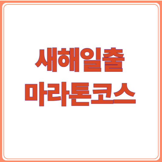 2026 새해일출런 마라톤 총정리: 코스&middot;신청&middot;기념품까지 한눈에!
