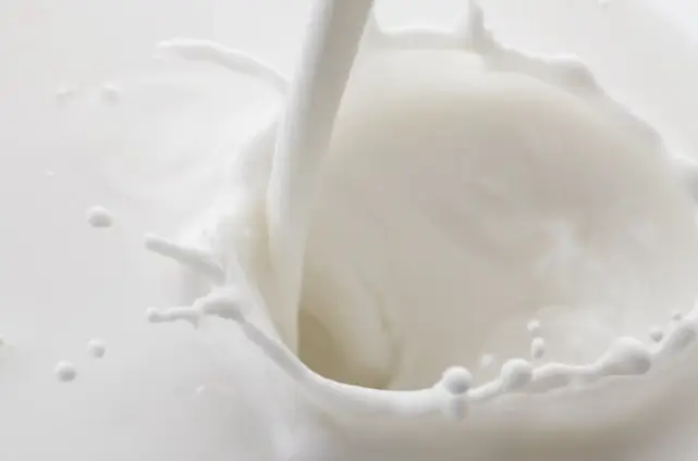 고양이-주면-안되는음식-우유와유제품