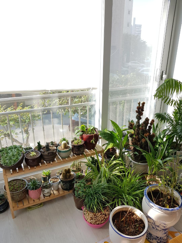 오래된 아파트 리모델링 비용