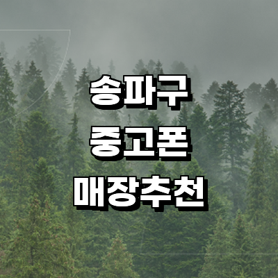 서울 송파구 중고폰