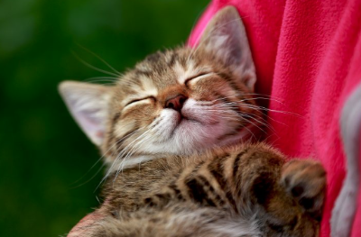 감정을 읽을 수 있나요?