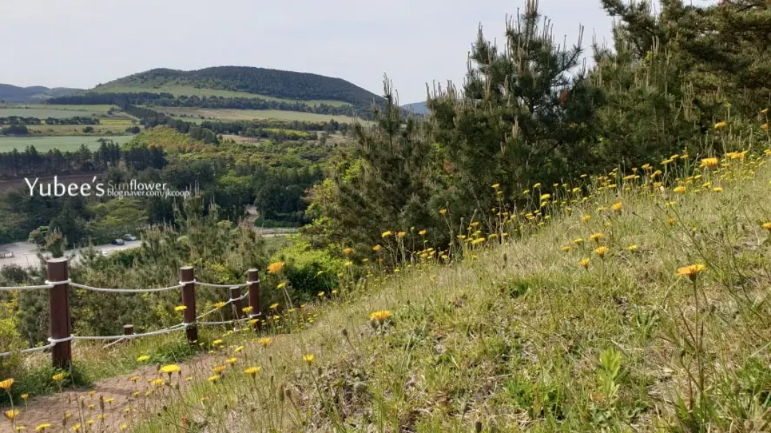 아부오름 정상 경치