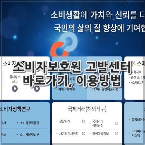 소비자보호원 고발센터 바로가기, 이용방법