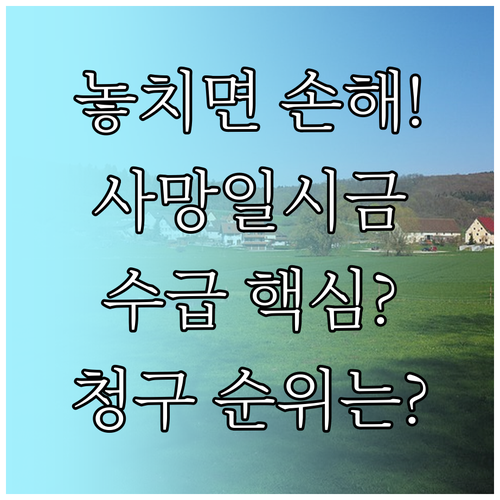 국민연금 사망일시금 수급 요건과 청구..