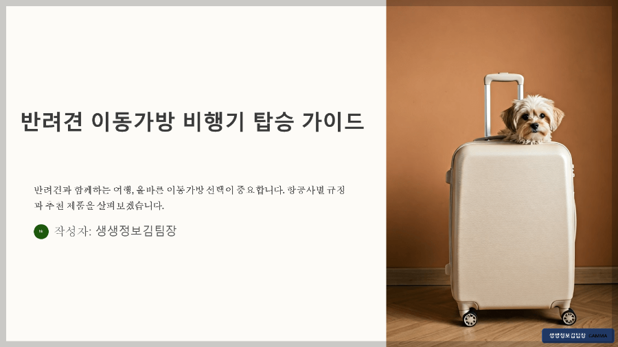 반려견 이동가방 비행기 탑승용