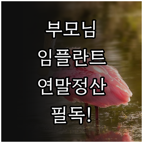 부모님 임플란트 연말정산 공제 여부 ..