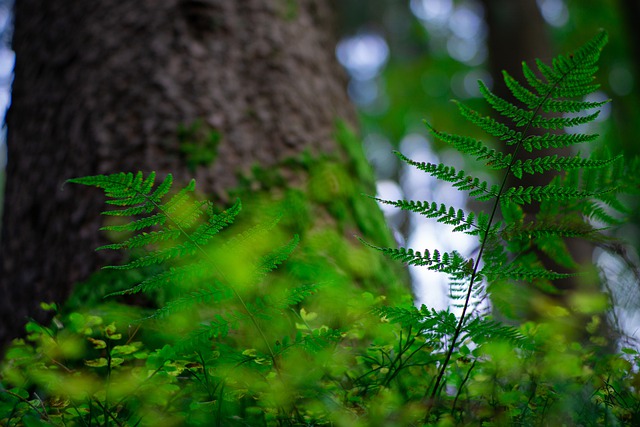 전주시 익산시 군산시 정읍시 완주군 김제시 남원시 고창군 부안군 순창군 임실군 진안군 무주군 장수군 신속항원검사 PCR검사2