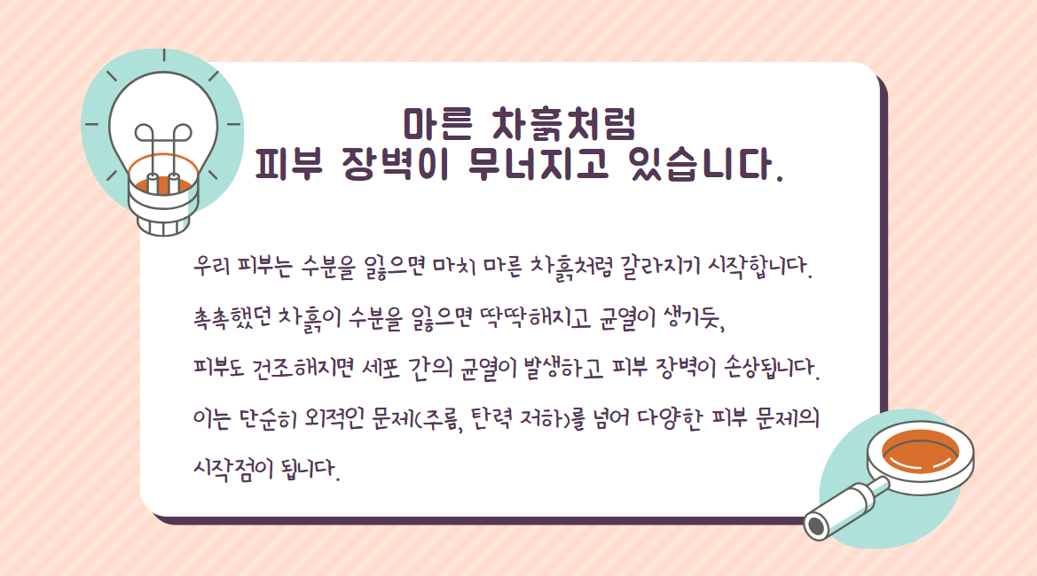 마른 차흙처럼 피부 장벽이 무너지고 있습니다.