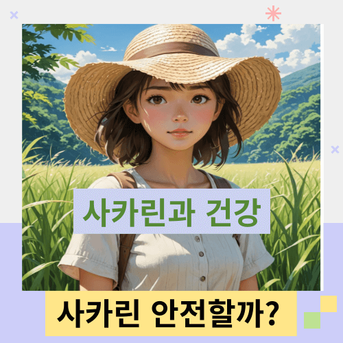 사카린과-건강