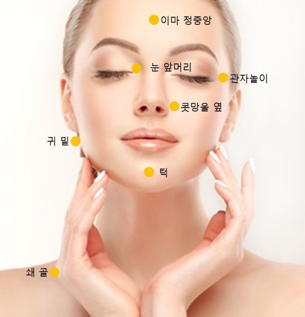 얼굴의 있는 림프부위