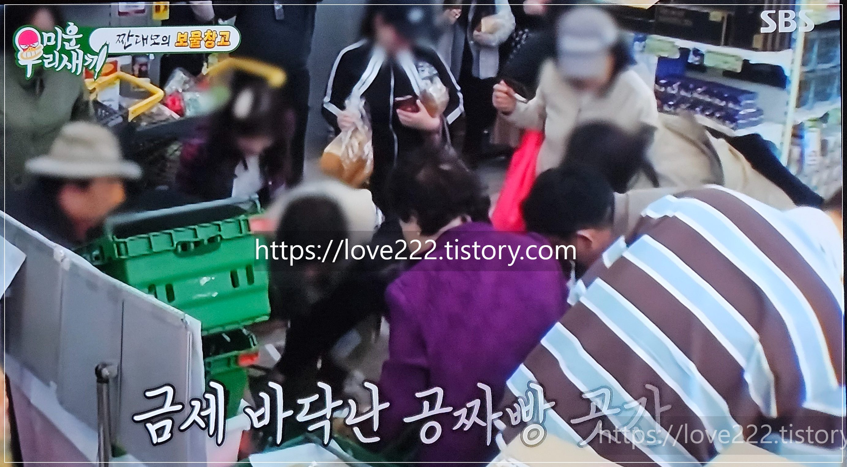 태양55