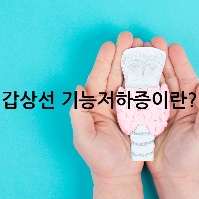 갑상선 기능 저하증 증상과 식이요법, 완치방법