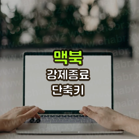 랩탑을 하는 손 사진위에 맥북 강제종료 단축키라는 글씨가 써있음