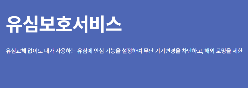 유심보호서비스