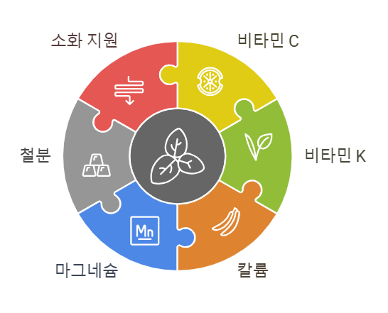 소렐 허브
