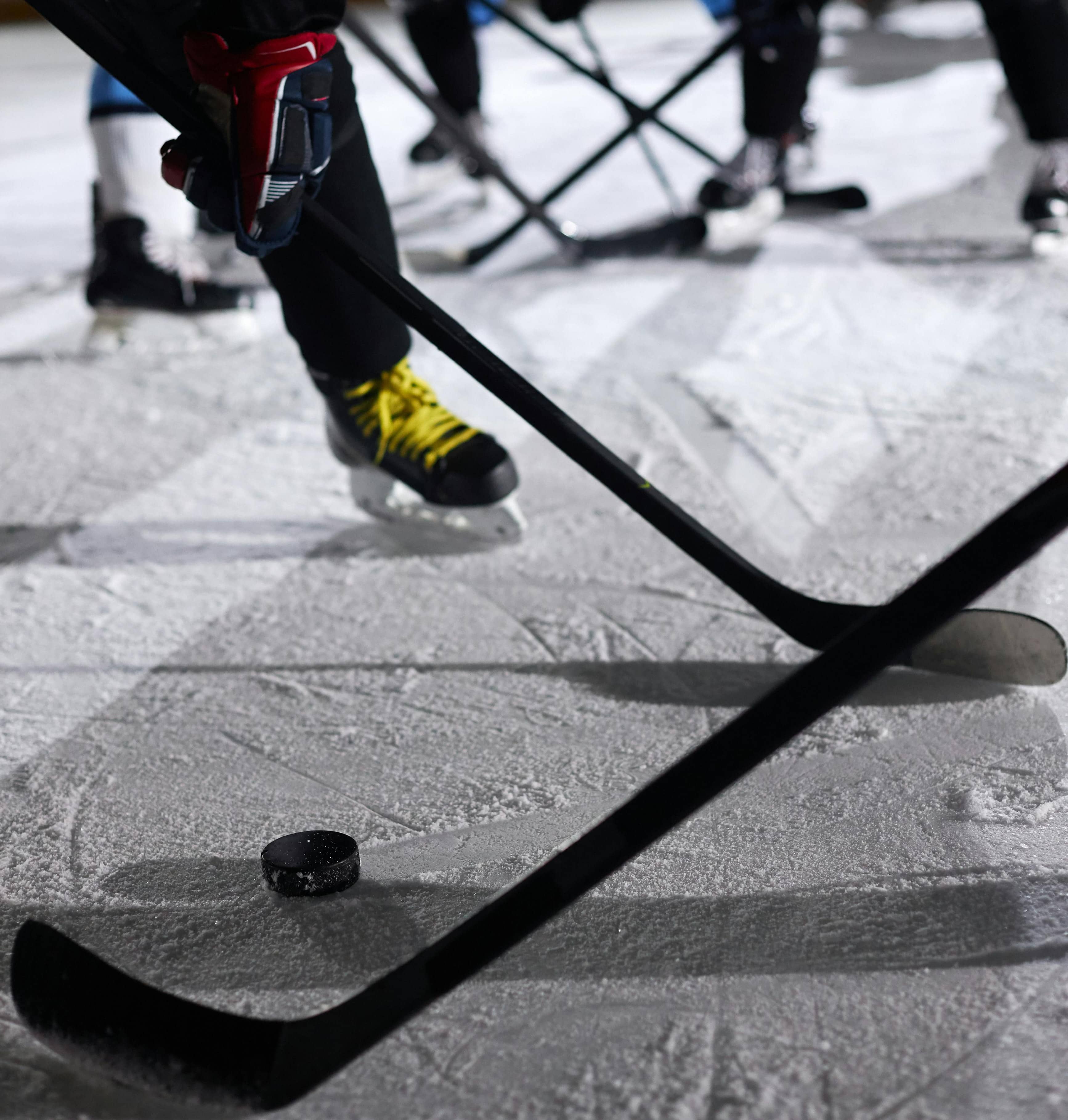 『프라이드(Pride)』