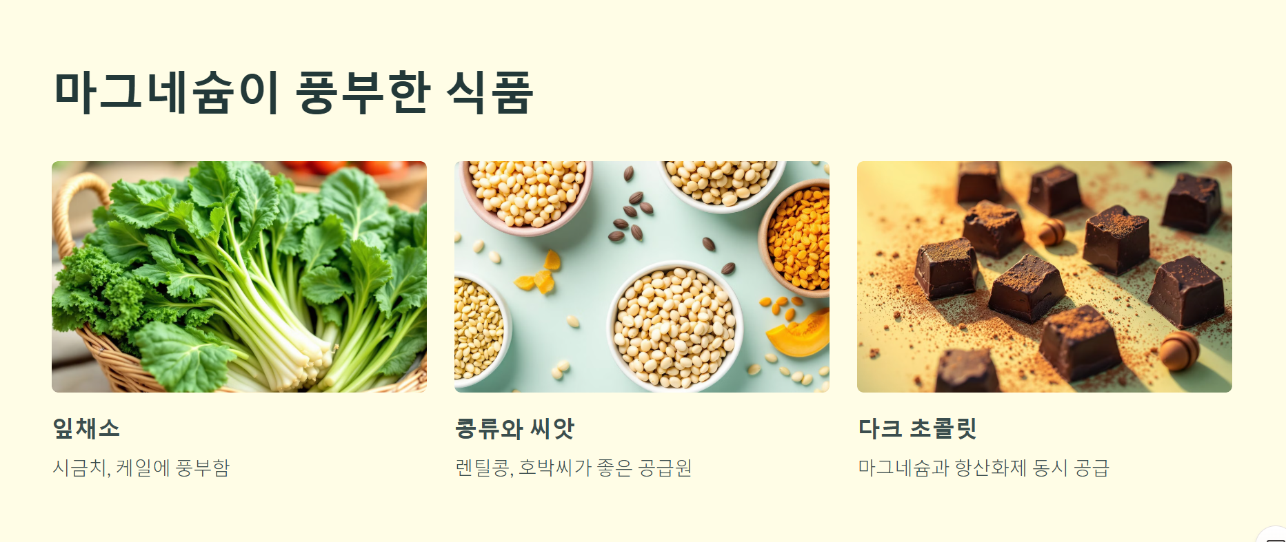 마그네슘을 포함한 식품