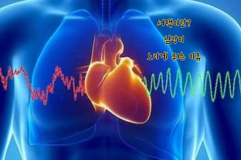 서맥이란? 심장이 느리게 뛰는 이유