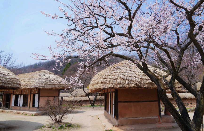 용인 한국민속촌