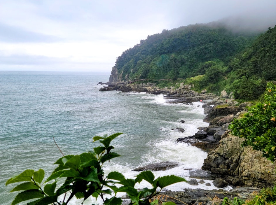 이기대-수변공원-해안선