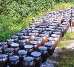 된장 효능 영양성분 담그는법 주의사항