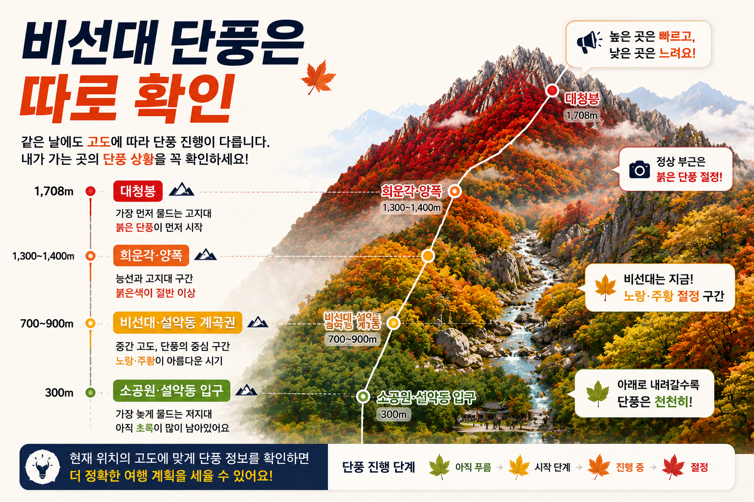 설악산 비선대 천불동계곡과 고지대 단풍 진행 비교