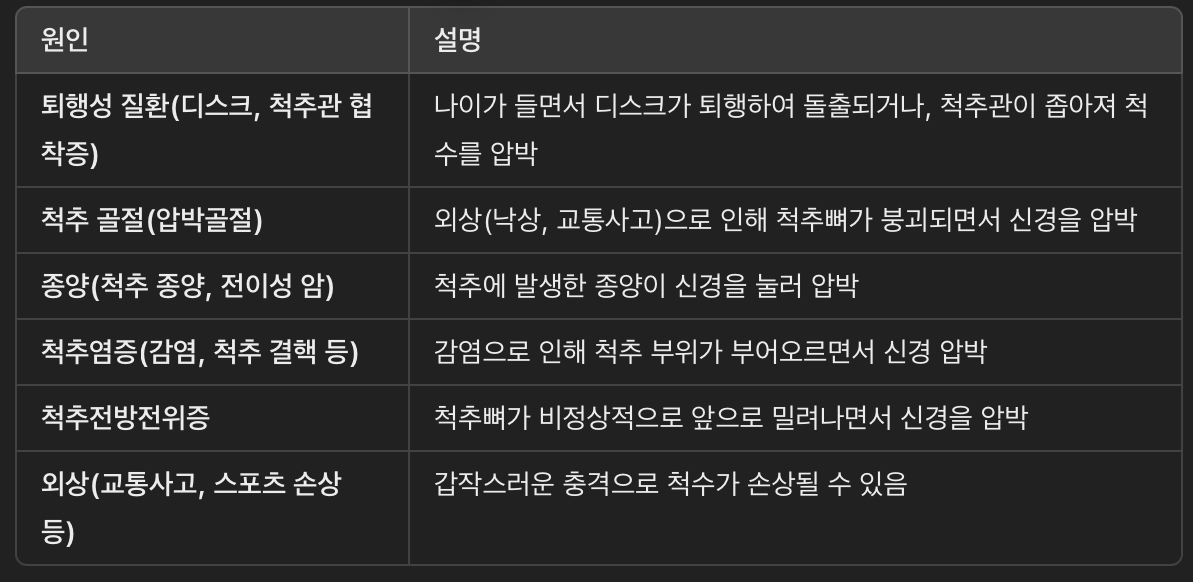 척수 신경 압박의 원인