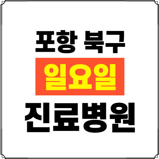 포항시 북구 일요일 진료병원 찾기 ❘ 24시 휴일 주말 응급 야간 심야 문여는 병원