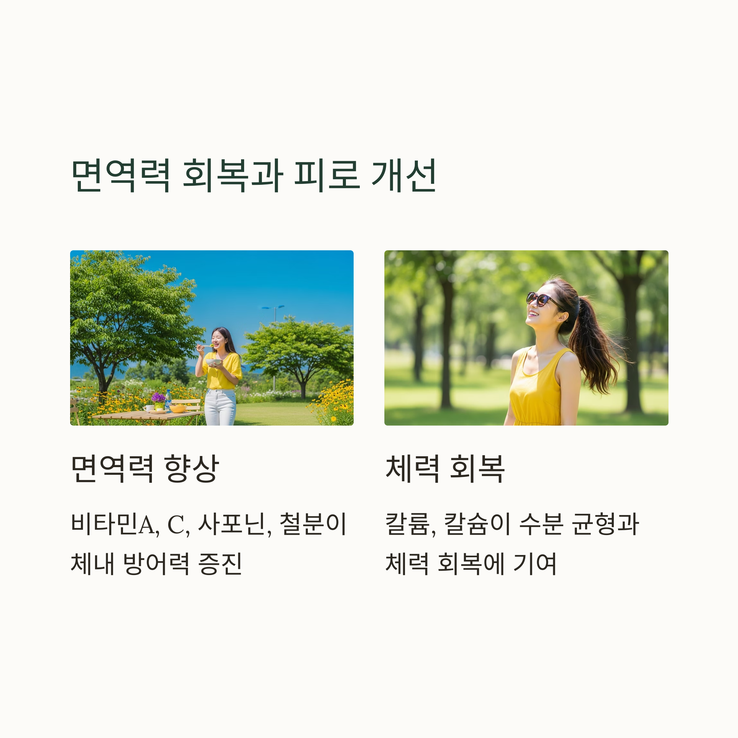 면역력 회복과 피로 개선