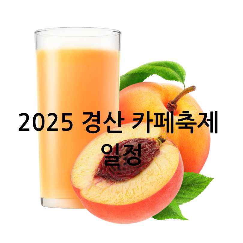 경산 신비복숭아 카페 축제 2025 일정 및 참여 카페