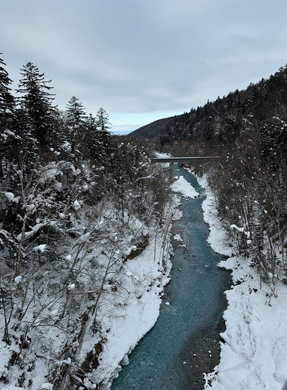 흰 수염 고래 폭포 아래로 이어지는 강
겨울에도 얼지 않고 흐르며, 비에이 특유의 푸른빛을 띠고 있어요.