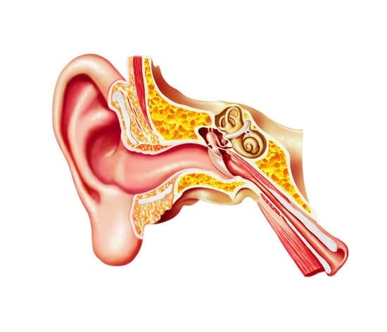 뇌간유발반응 검사