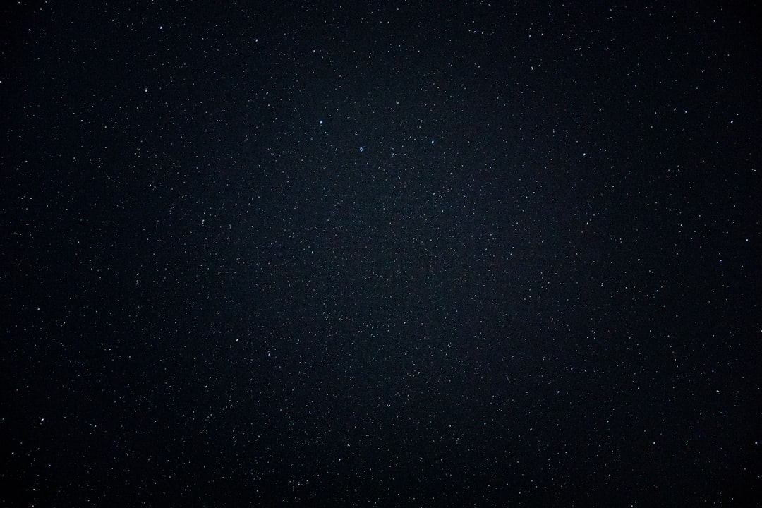 'Wedding shoot black' - 'elegant'