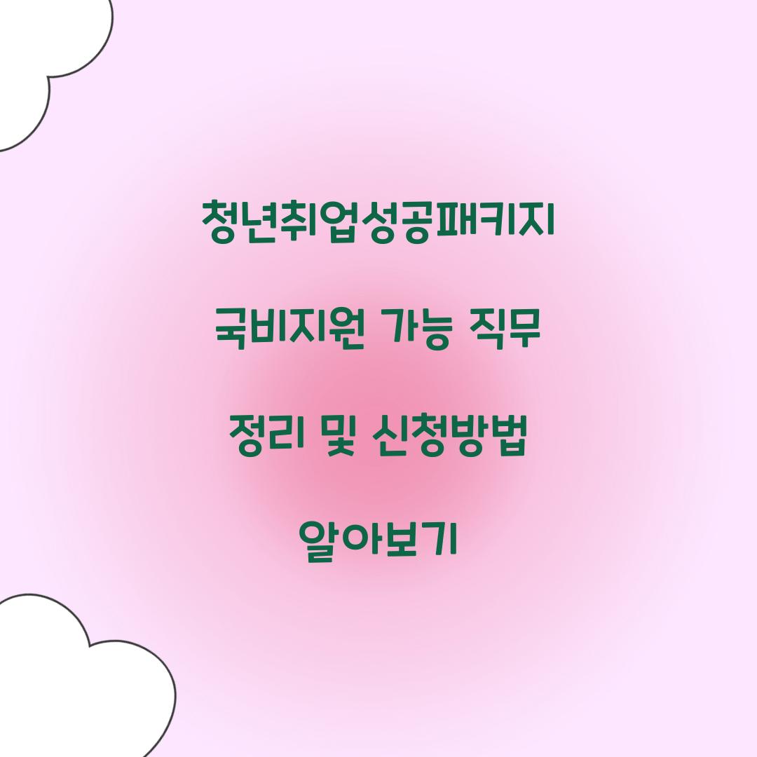청년취업성공패키지 국비지원 가능 직무 정리