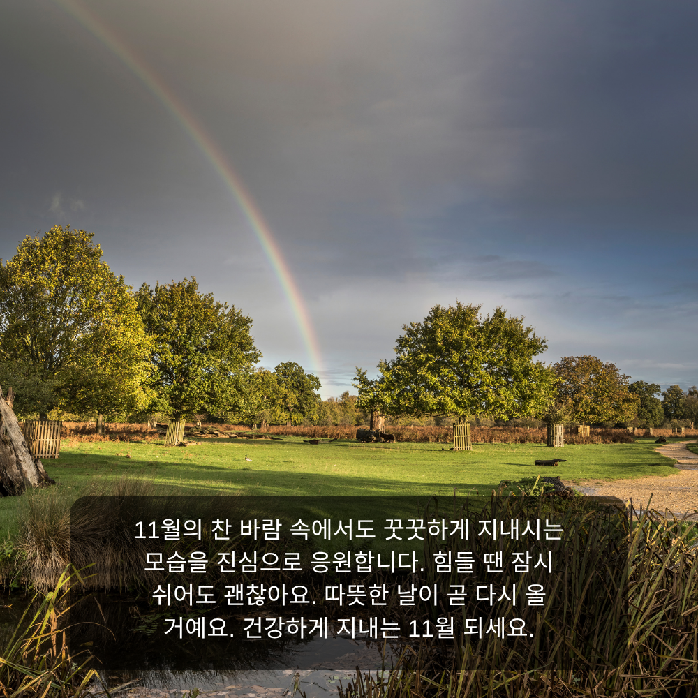 11월 인사말 28 찬 바람 속 11월 응원 인사말 이미지
