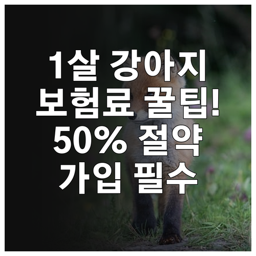 1살 강아지 보험 가입 시 보험료 절..