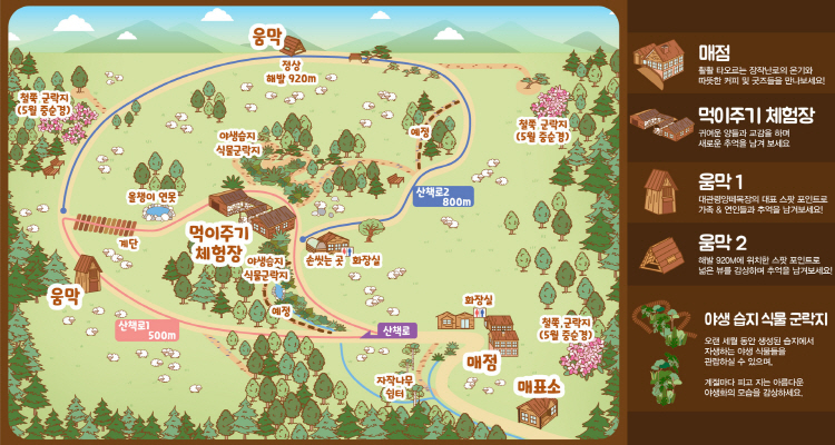 대관령 양떼목장