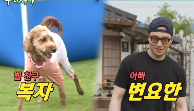 변요한 배우 프로필 드라마 영화 작품활동 열애 결혼 반려견 사진