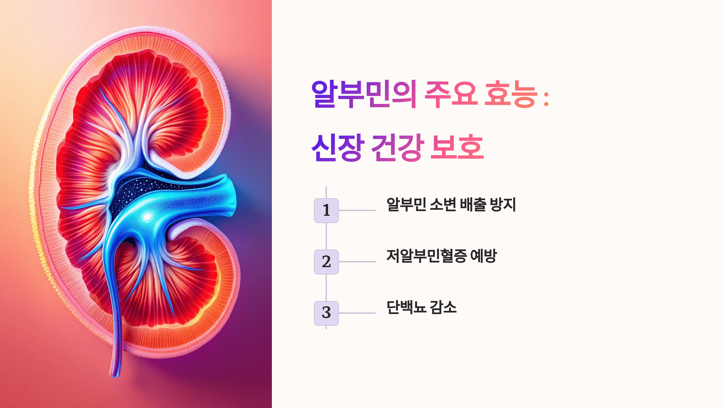 알부민과 관련된 사진입니다.