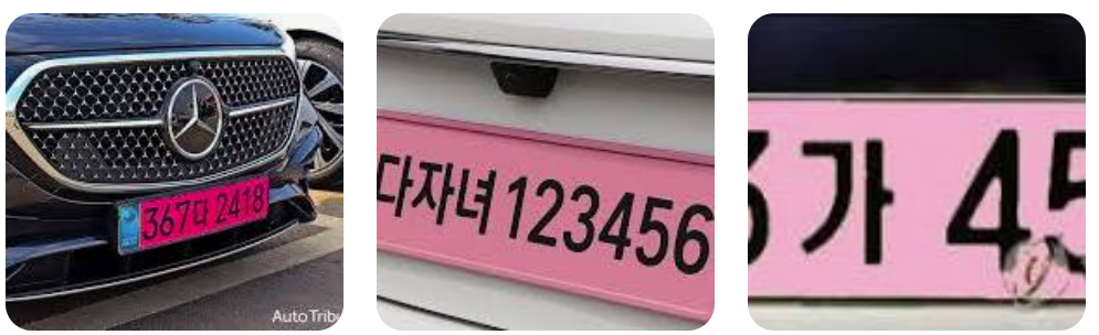 🎯 다자녀 핑크색 번호판! 3자녀 이상 가구 교통혜택 총정리(대상, 조건,주차요금, 전용차선, 교통복지,통행료,발렛서비스까지)