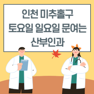 인천 미추홀구 토요일 일요일 산부인과 진료 병원 리스트