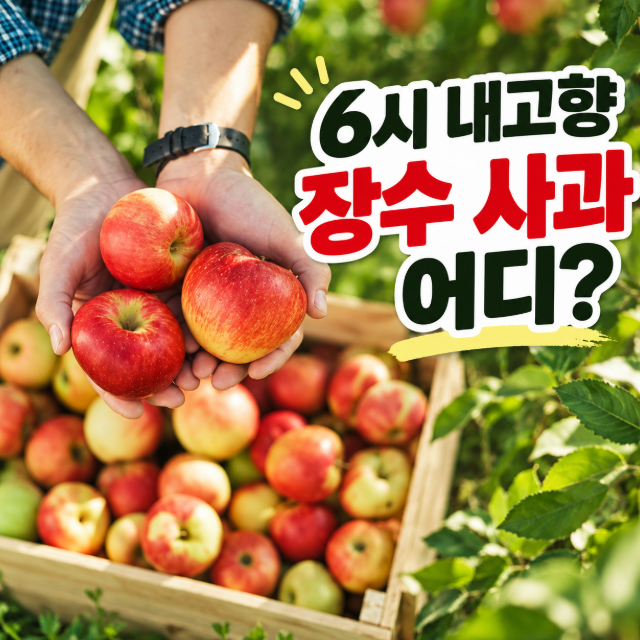 6시 내고향 장수 사과 어디? 자이몽 사과주스 주문·가격·장수반파가야영농조합 정리