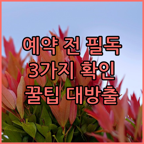 메이플우드 게스트 하우스 예약 전 확