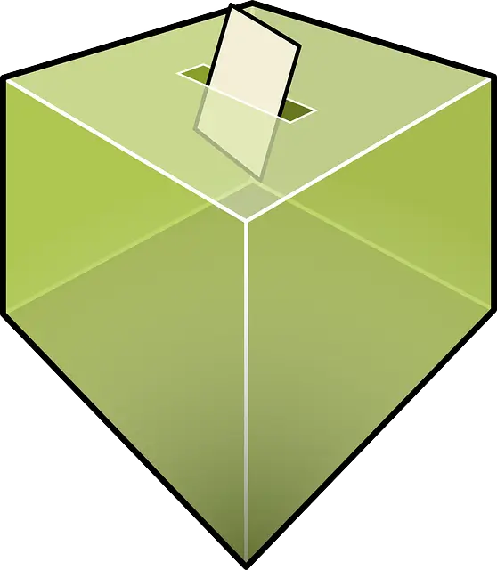 서울 노원구 제21대 대통령선거 사전투표일, 본투표장소 확인방법