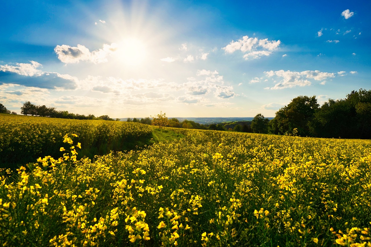 노후대비,퇴지금